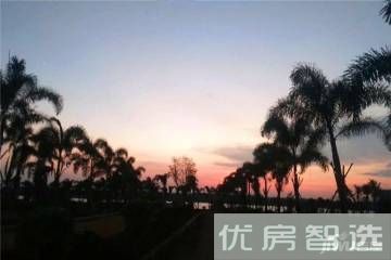 清凤黄金海岸97