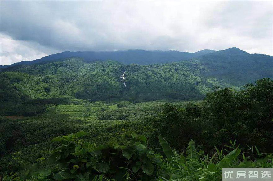 清能丽景湾97