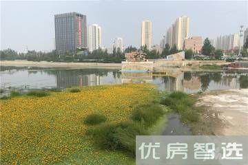 海诚清水河畔97