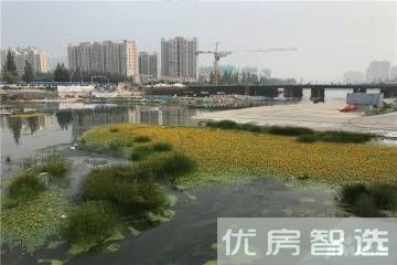 海诚清水河畔97