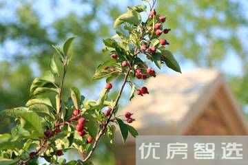 八达岭官厅湖别墅97